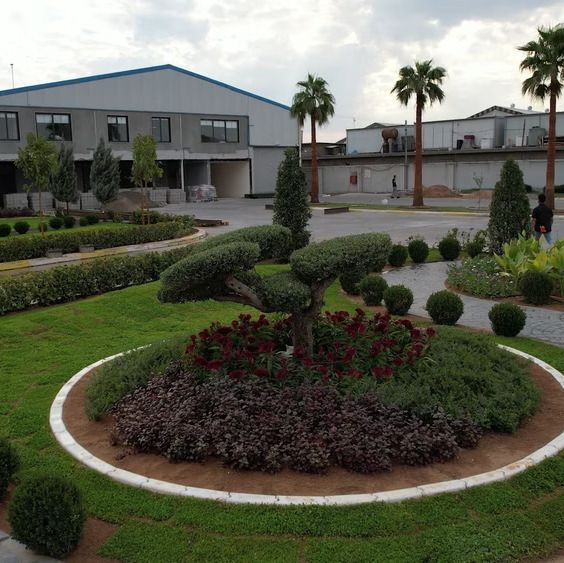 Round planting bed with a topiary tree at the Fabyab project